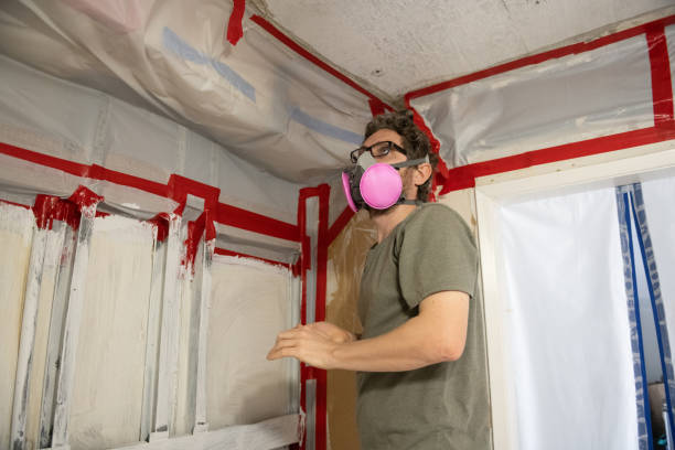 Best Comprehensive Air Testing for Mold Contaminants  in Bridgeport, AL