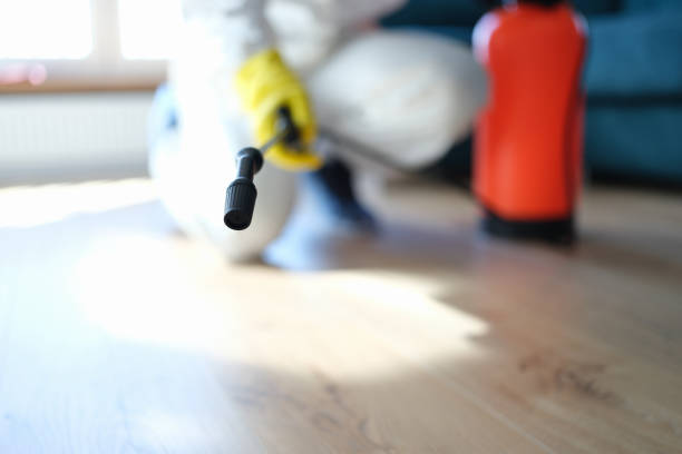 Best Residential Mold Inspection & Testing  in Bridgeport, AL